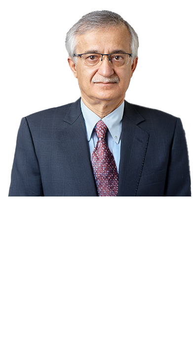 السيد محمد بوجيري